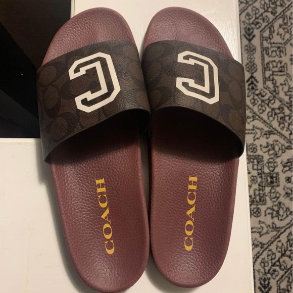 Coach slides - Picture 1 of 2